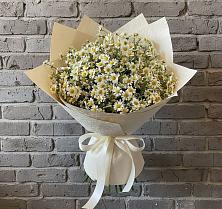 Букет цветов из:  Ромашки #REPLACE_PRED# Суворовской