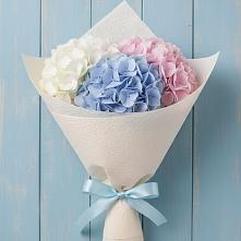 Букет цветов из:  Гортензия в Суворовской