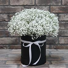 Цветочная композиция из Гипсофила в шляпной коробке в Суворовской